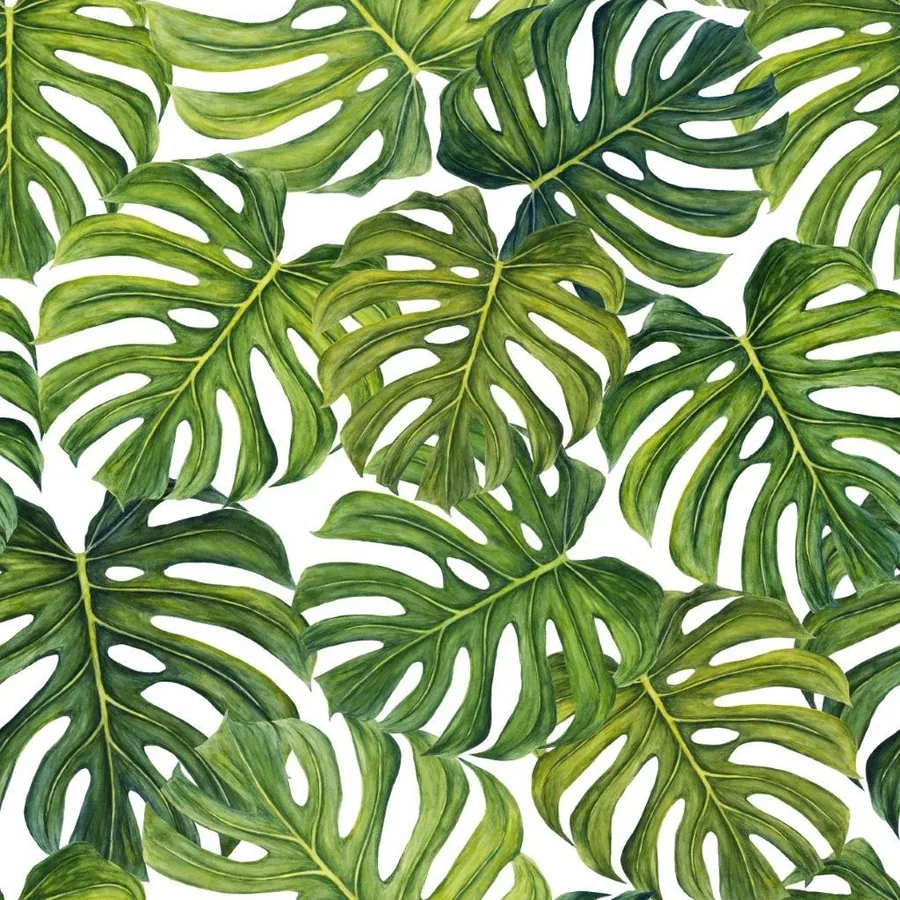 Tropical Monstera wallpaper design