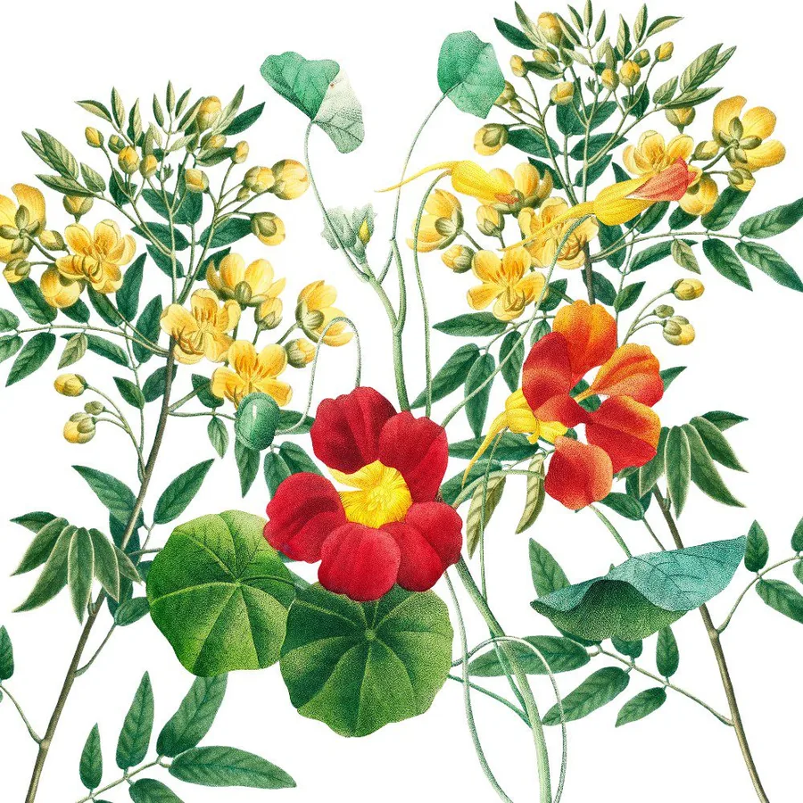 Vibrant Botanical Blooms wallpaper design