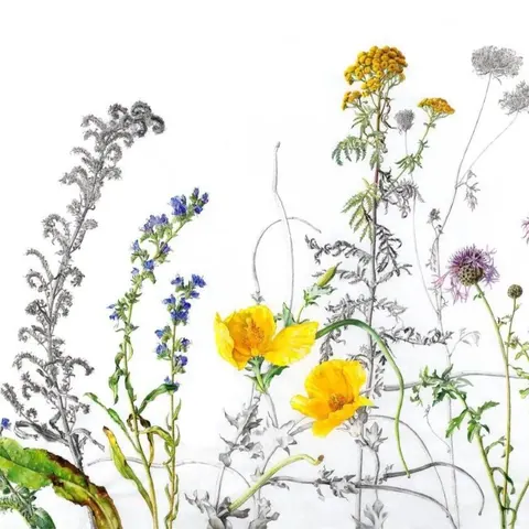 Wild Meadow Sketch wallpaper design