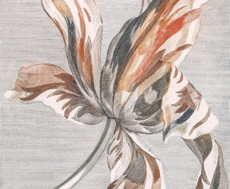 1_smart-art-floral-botanical-design-etched-flower-art