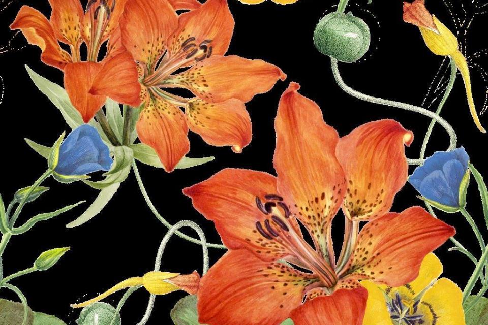 1_smart-art-floral-botanical-design-orange-lily-and-yellow-flowers-in-a-string-of-greenery-pattern