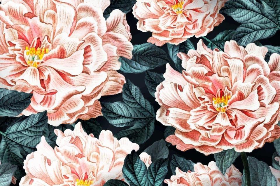 1_smart-art-floral-botanical-design-oversized-peonies