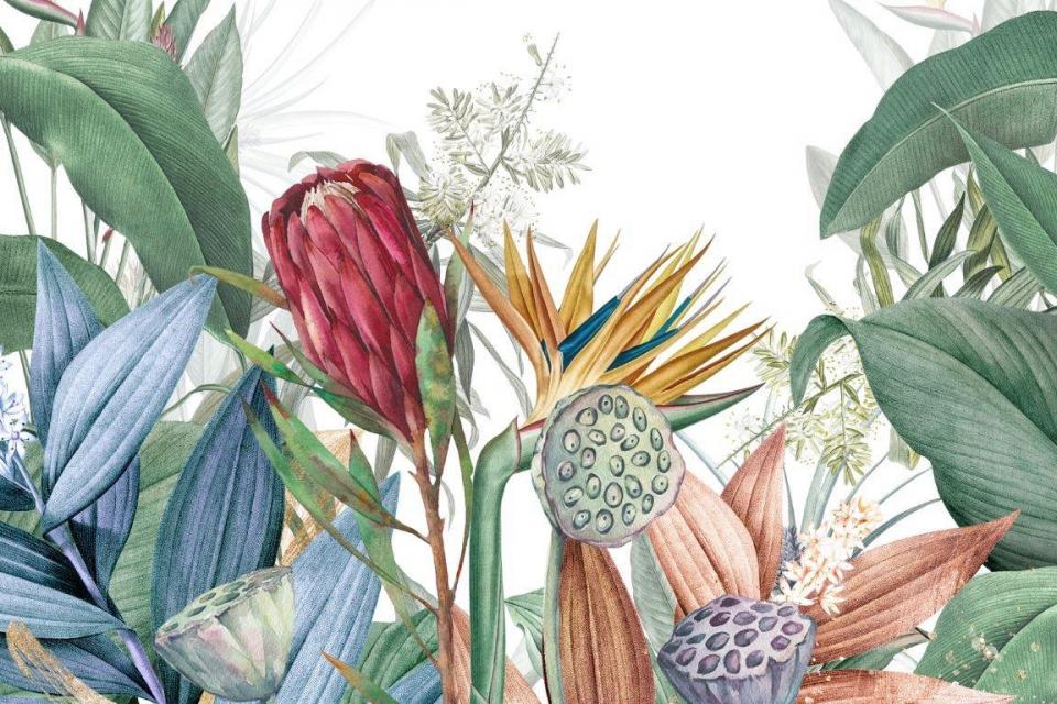 1_smart-art-floral-botanical-design-south-african-flowers-protea-strelitzia-big-leaves-mural