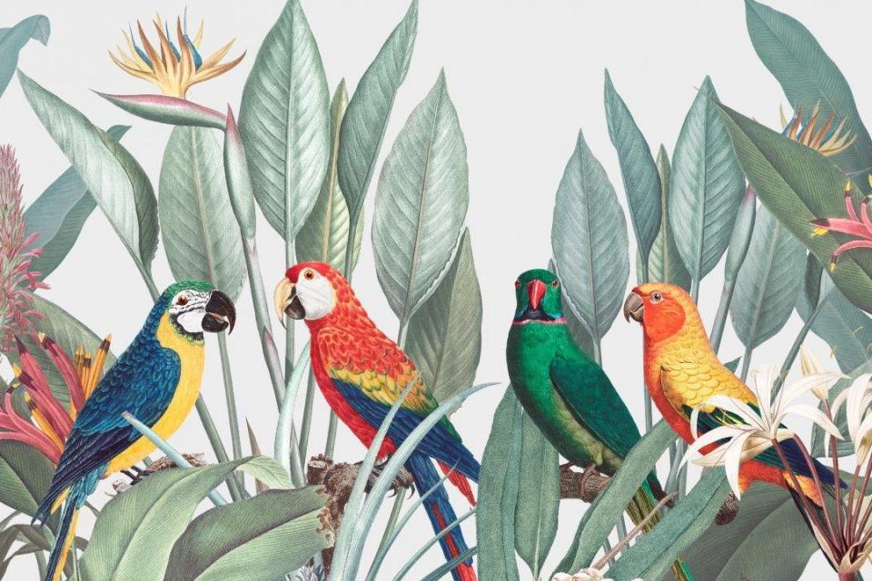 1_smart-art-floral-botanical-design-tropical-macaw-birds-and-south-african-flowers
