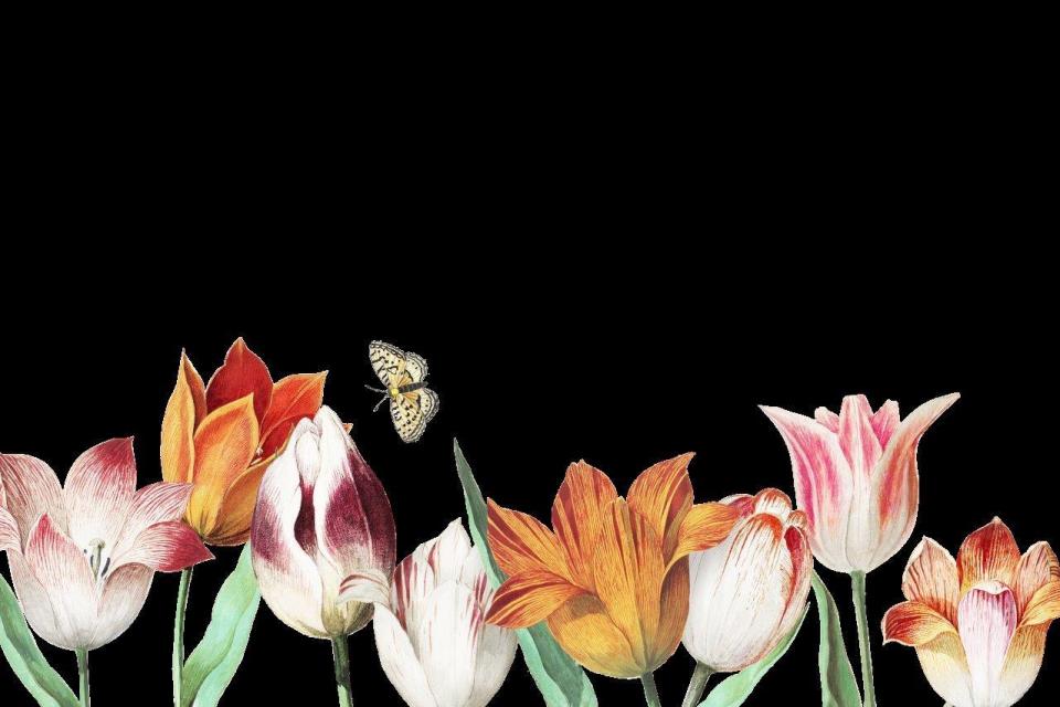 1_smart-art-floral-botanical-design-tulips