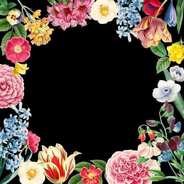 smart-art-floral-botanical-design-flowers-frame