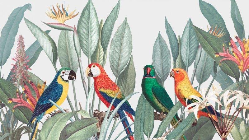 smart-art-floral-botanical-design-tropical-macaw-birds-and-south-african-flowers