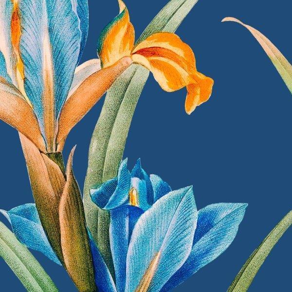 1_smart-art-floral-botanical-design-blue-vintage-iris-oversized