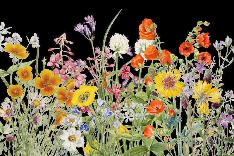 1_smart-art-floral-botanical-design-floral-garden