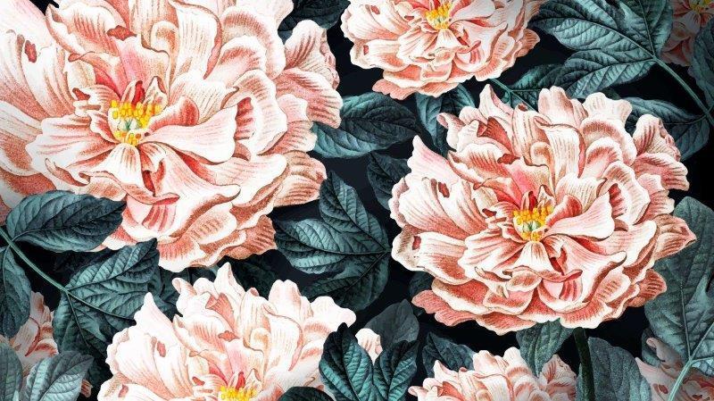 1_smart-art-floral-botanical-design-oversized-peonies