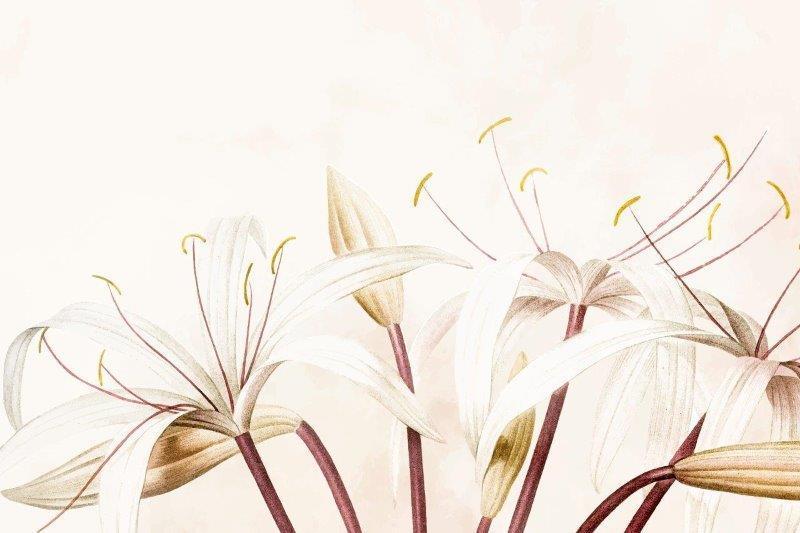 1_smart-art-floral-botanical-design-white-water-colour-lily