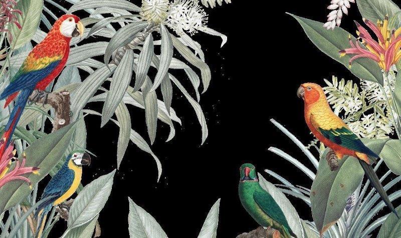1_smart-art-floral-botanical-design-with-parots