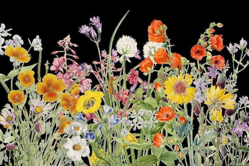 2_smart-art-floral-botanical-design-floral-garden