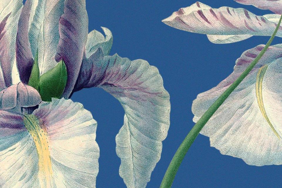 2_smart-art-floral-botanical-design-macro-iris-art
