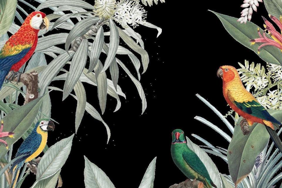 2_smart-art-floral-botanical-design-with-parots