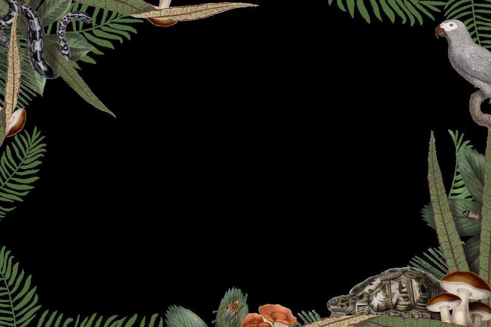 3_smart-art-floral-botanical-design-mushrooms-and-forest-animals