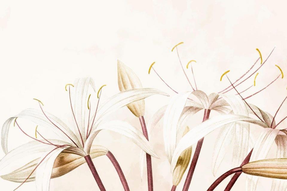 3_smart-art-floral-botanical-design-white-water-colour-lily