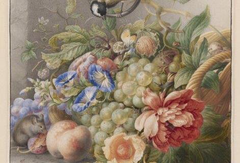 smart-art-botanical-floral-pattern-design-33