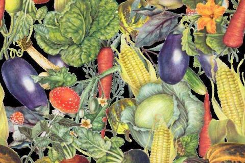 smart-art-botanical-fruit-vegetable-pattern-design-7