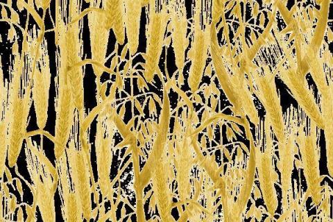smart-art-dry-grass-pattern-design-13
