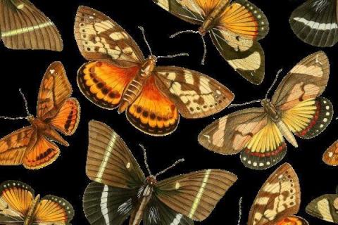 smart-art-floral-and-leaves-pattern-design-18