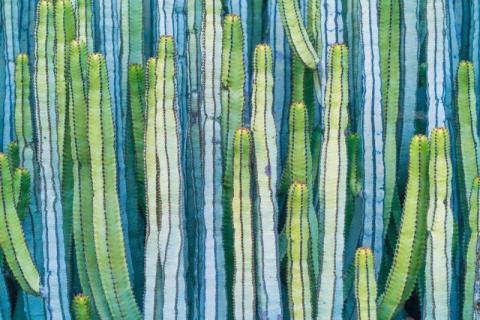 smart-art-floral-and-leaves-pattern-design-21