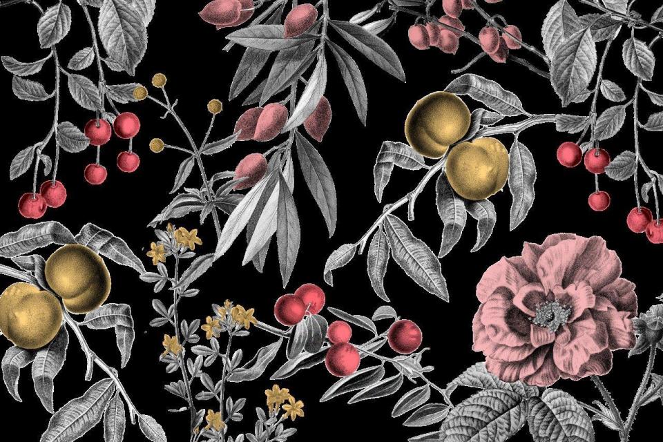smart-art-floral-botanical-design-black-and-white-leaves-with-colourful-fuirts-berries-and-flowers