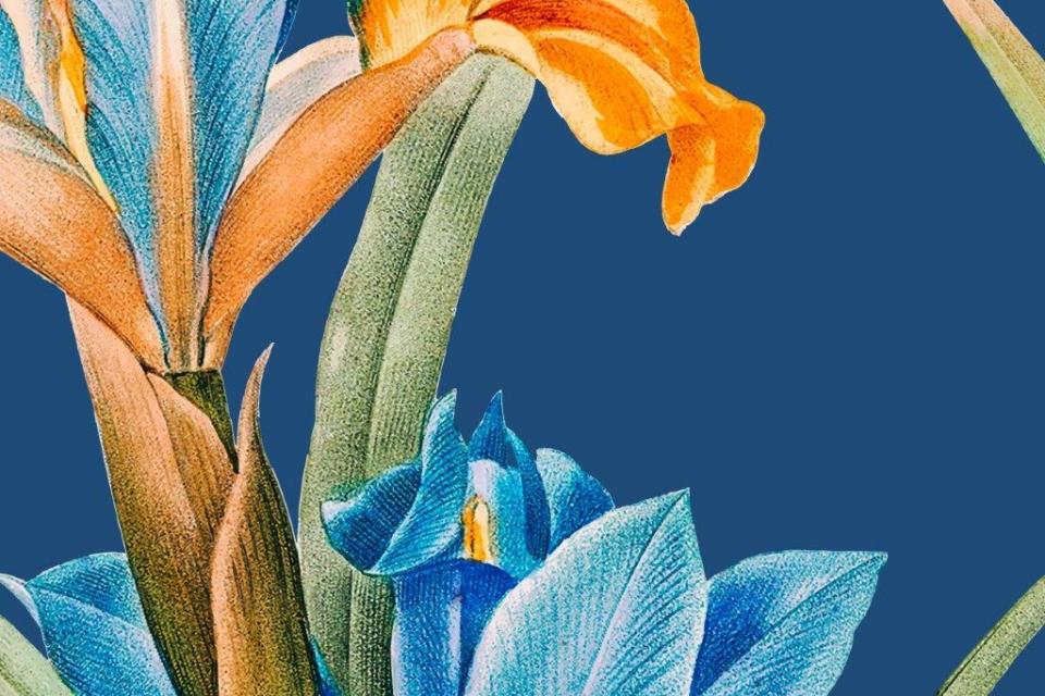 smart-art-floral-botanical-design-blue-vintage-iris-oversized