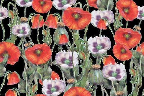 smart-art-poppy-floral-pattern-design-14