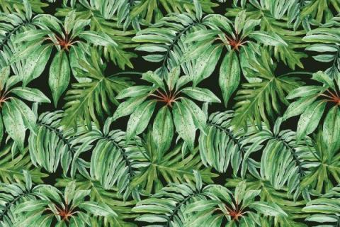 smart-art-prrotea-banana-palm-monster-leaves-pattern-design-4