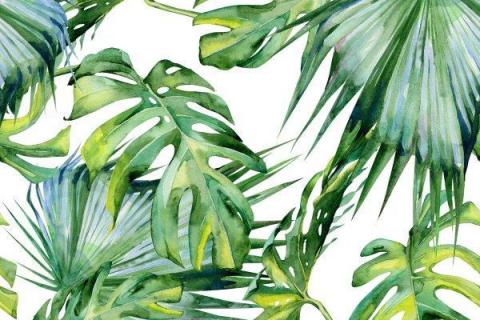 smart-art-tropical-leaves-banana-monster-palm-jungle-wallpaper-background-14
