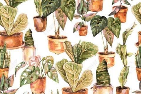 smart-art-tropical-leaves-banana-monster-palm-jungle-wallpaper-background-8