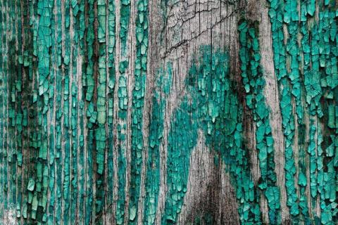 smart-art-wooden-planks-with-green-moss-and-leaves-