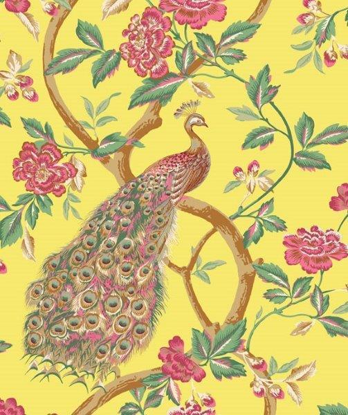 1_SMART-ART-PINK-PEACOCK