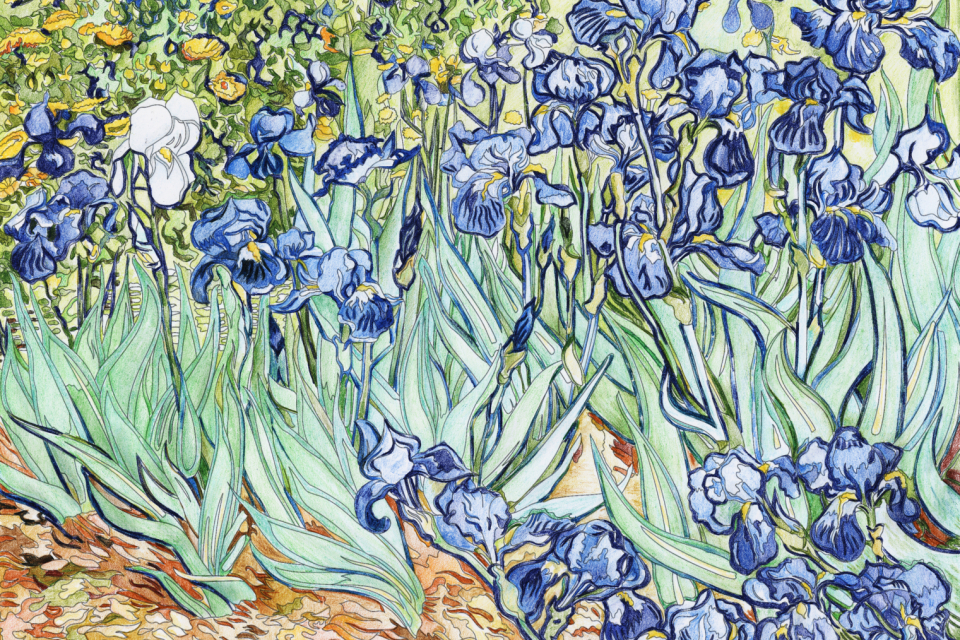Irises (1889) by Vincent van Gogh adult coloring page
