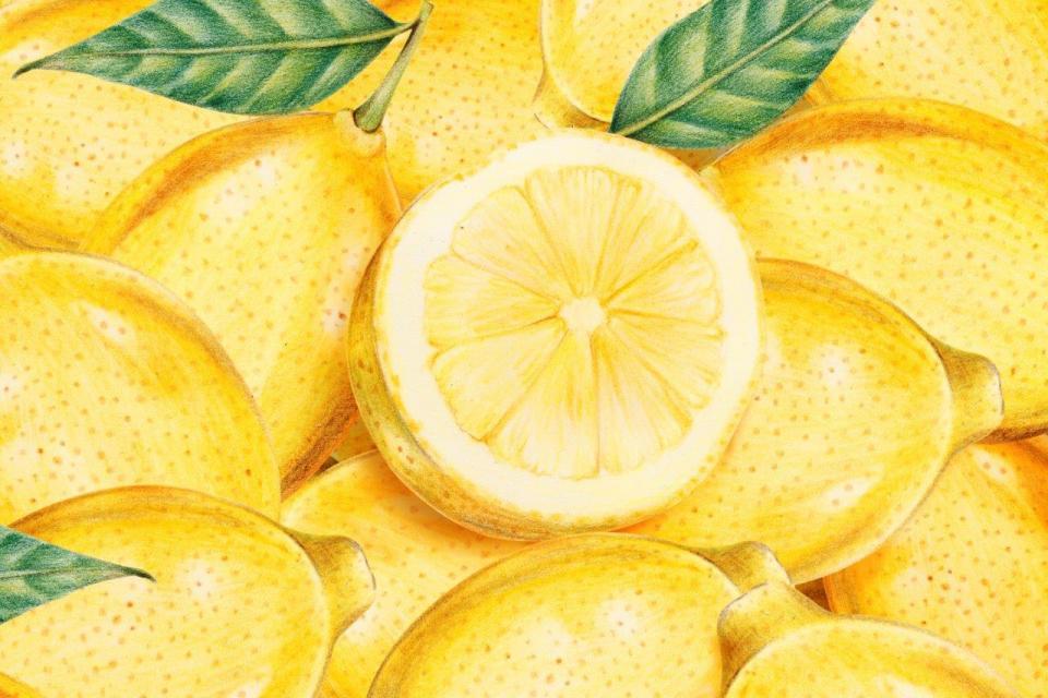 smart-art-fruits-food-illustrations-lemons