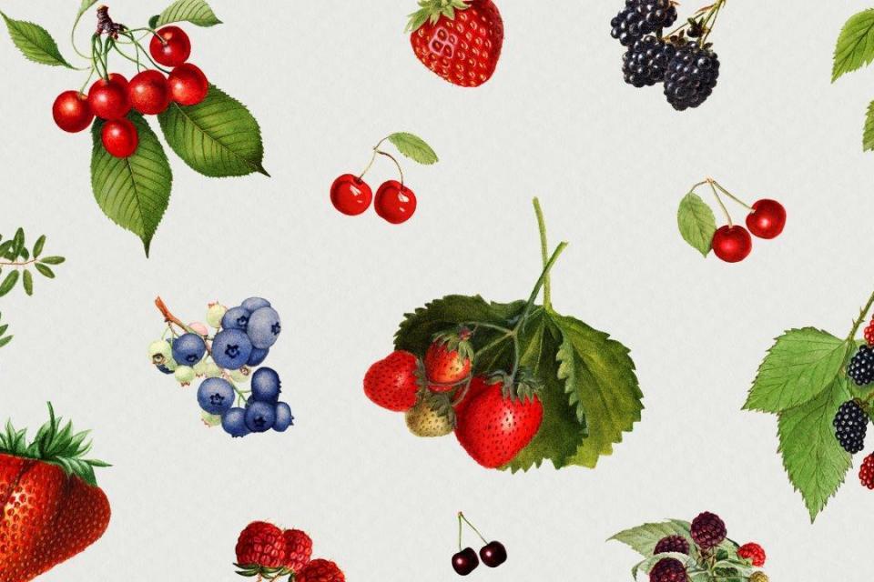 smart-art-fruits-food-illustrations-mixed-berry-design