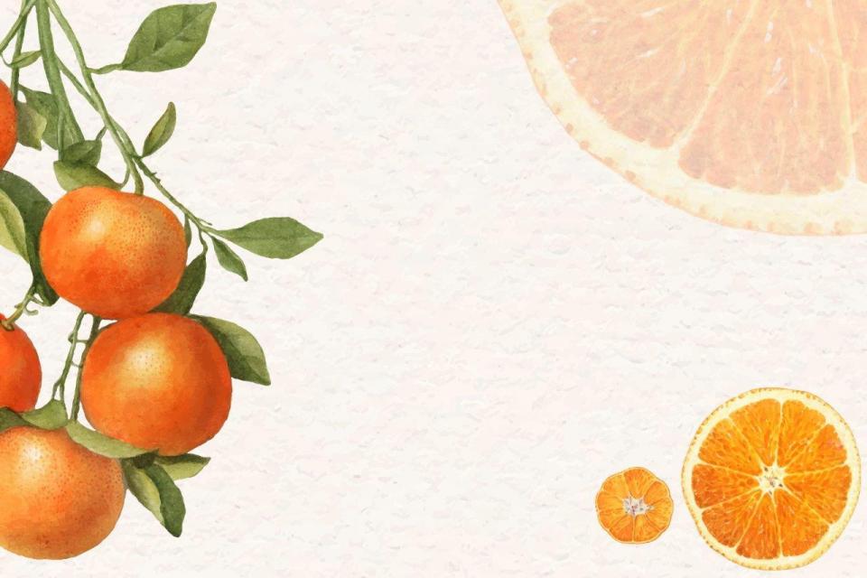 smart-art-fruits-food-illustrations-oranges