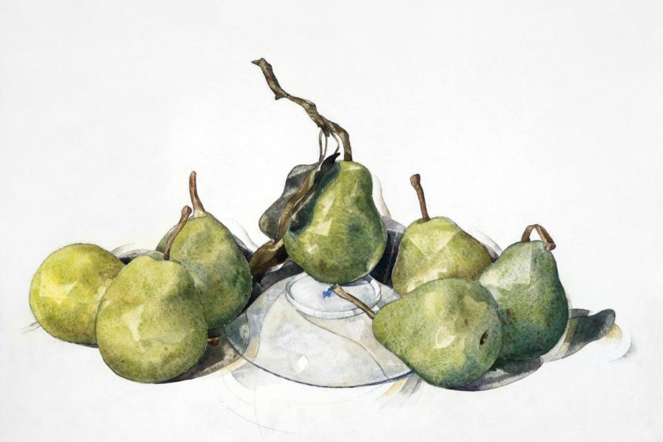 smart-art-fruits-food-illustrations-painted-pears