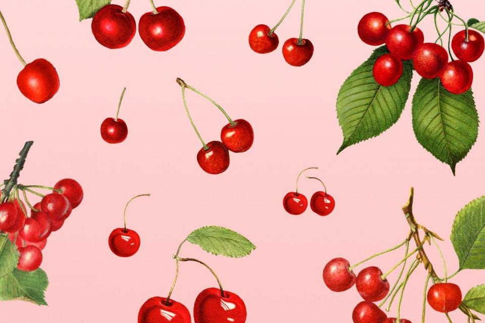 smart-art-fruits-food-illustrations-pink-cherry-design