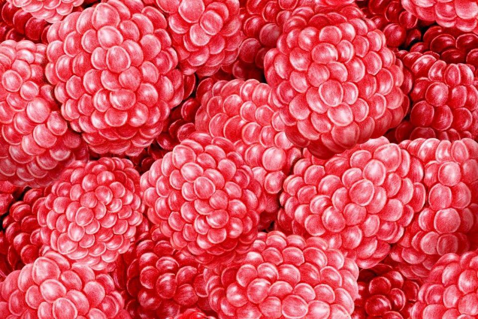 smart-art-fruits-food-illustrations-raspberry
