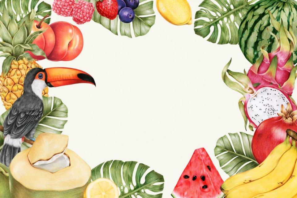smart-art-fruits-food-illustrations-tropical-fruits-and-tucan-bird