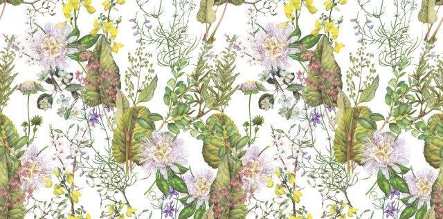 fynbos-Mock-ups-13