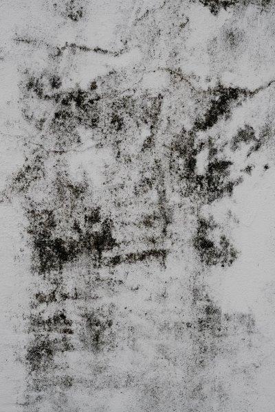 SMART-ART-GREY-SHADE