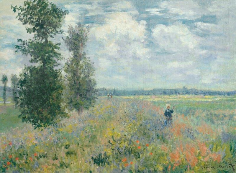SMART-ART-EUROPEAN-FIELDS
