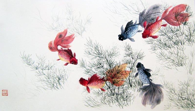 smart-art-kiddies-wallpaper-nemo-gold-fish-7
