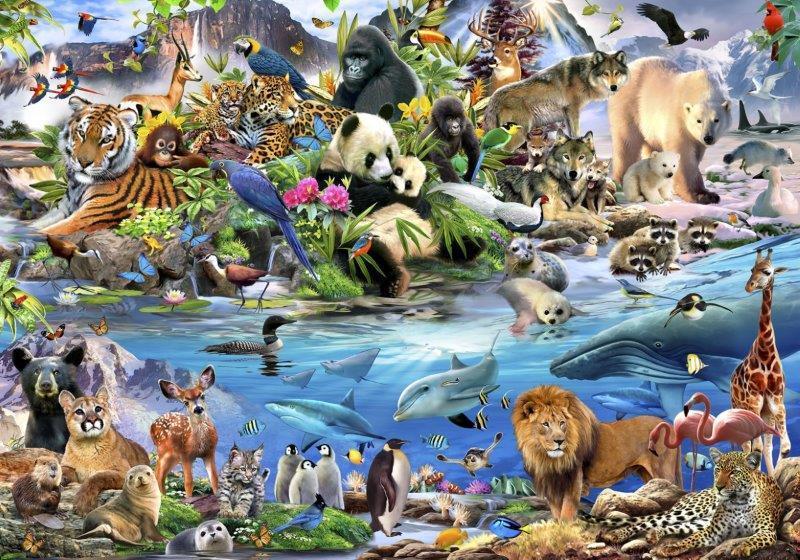 smart-art-kiddies-wallpaper-zoo-animals-lion-elefant-bami-13