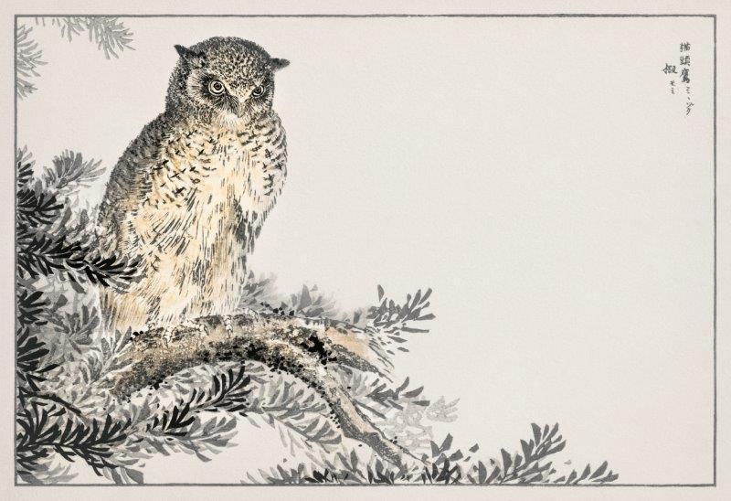 smart-art-oriental-art-owl-on-branch-japanese-art