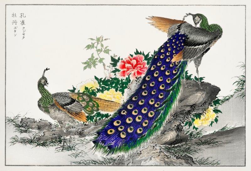 smart-art-oriental-art-vintage-peacocks