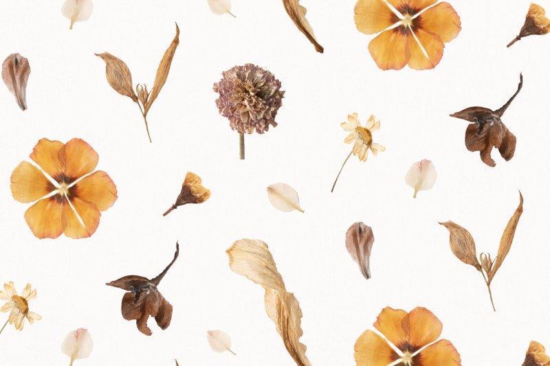 smart-art-patterns-dried-flowers